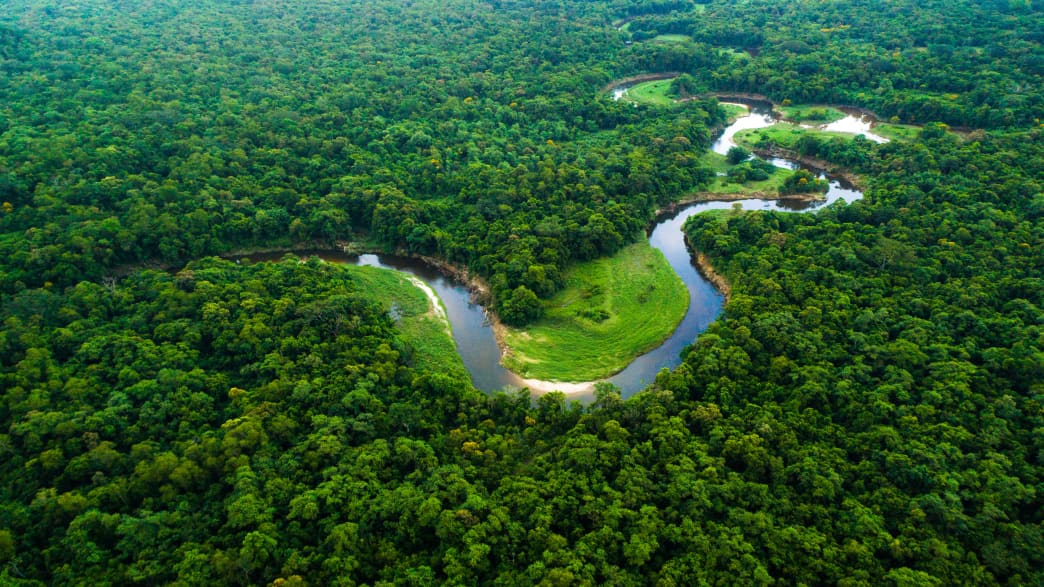 Luftaufnahme vom Amazonas-Regenwald in Brasilien