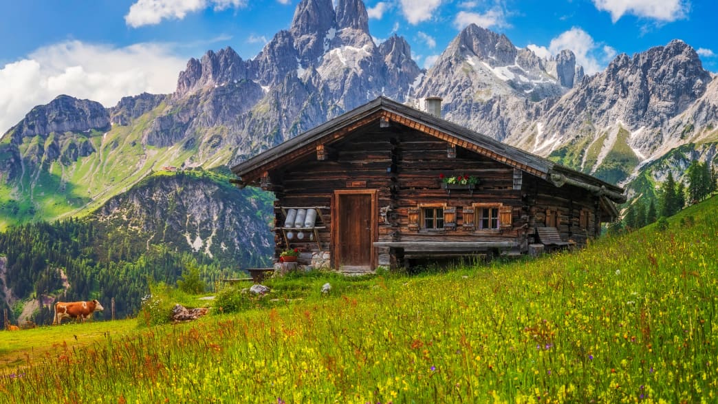 Die Sulzenalm am Fuß des Rettensteins im Dachsteingebirge