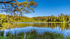 Hackensee bei Holzkirchen: Kleiner, mooriger Waldsee mit türkisfarbenem Wasser