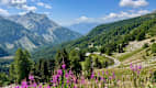 Panoramablick auf die Südseite des Col de la Cayolle in den Seealpen mit blühender Vegetation.