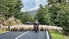 Tipps für Motorradtouren auf Sardinien von Magdalena Kosch