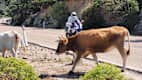 Tipps für Motorradtouren auf Sardinien von Magdalena Kosch