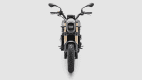 Frontansicht einer stehenden Benelli Leoncino 800