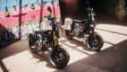 Zwei stehende BMW CE 02