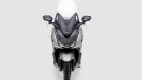 die Honda Forza 350 im Studio frontal von vorne