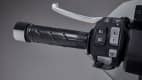 der Griff der Honda Forza 350