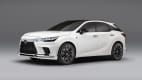 Front und Seitenansicht eines stehenden Lexus RX