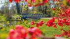 Fuchsienbrücke im Muskauer Park
