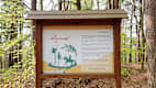 Ein Schild mit Märchenbeschreibung auf dem Dornröschen Rundwanderweg bei Dörrenbach