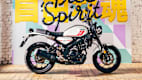 Seitenansicht einer stehenden Yamaha XSR 125