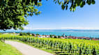 Blick auf den Bodensee und die Alpen im Hintergrund