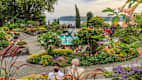 Touristen besuchen die berühmten Gärten auf der Insel Mainau