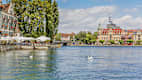 Bodensee mit Schwänen und der Stadt Konstanz im Hintergrund