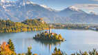 Der Bled See mit Osojnica in Slovenien