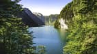 Ausblick auf den Koenigssee