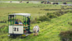 Pferdemuseumsbahn auf der Insel Spiekeroog
