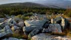 Felsen im Nationalpark Harz