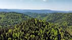 Ausblick in Allerheiligen im Schwarzwald