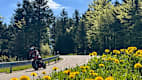 Ein Motorradfahrer auf einer Straße während der Motorrad Tour im Schwarzwald, Oppenau