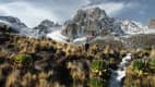 Blick auf den Mount Kenya in Kenia