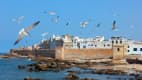 Die Hafenstadt Essaouira am Atlantik in Marokko mit Küste und Möwen