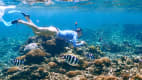 Schnorcheln auf den Seychellen