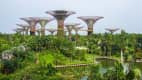 Botanischer Garten in Singapur