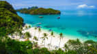 Blick auf einen Strand in Koh Samui