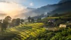 Reisfelder in Sapa in Vietnam