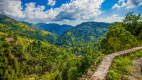 Die Blue Mountains auf Jamaika