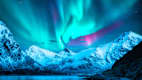 Polarlichter in einer Winternacht auf den Lofoten