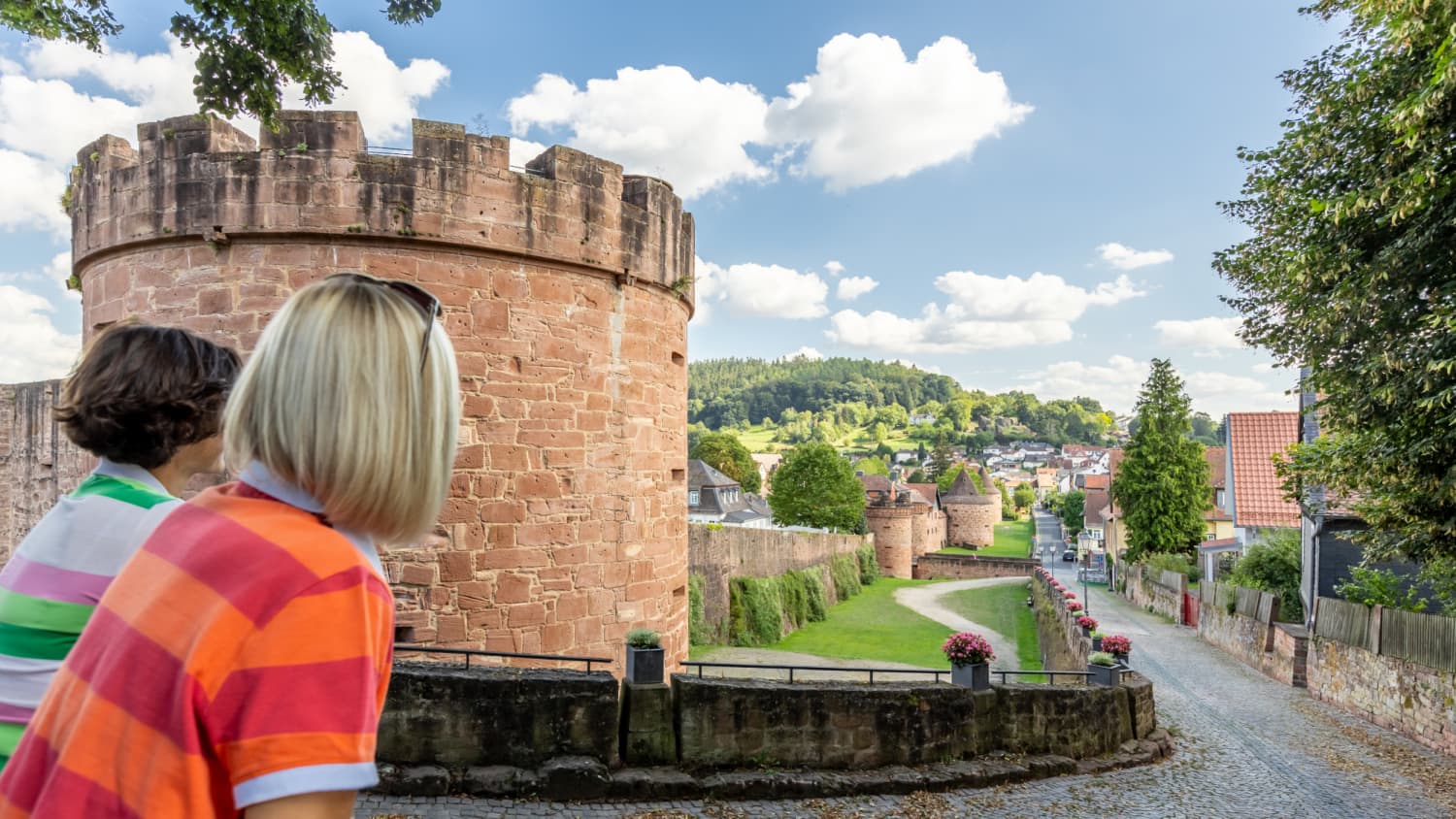 TourismusRegion Wetterau