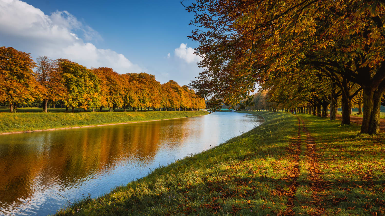 Der Decksteiner Weiher in Köln