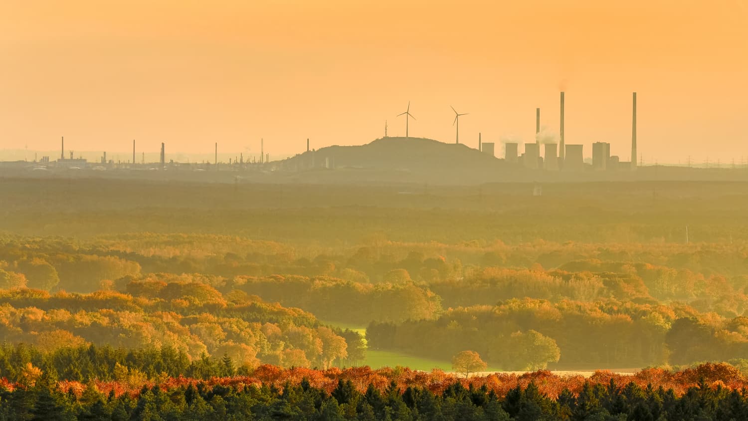 Vom Hohe Mark Steig in der Haard hat man einen wunderbaren Blick ins nördliche Ruhrgebiet