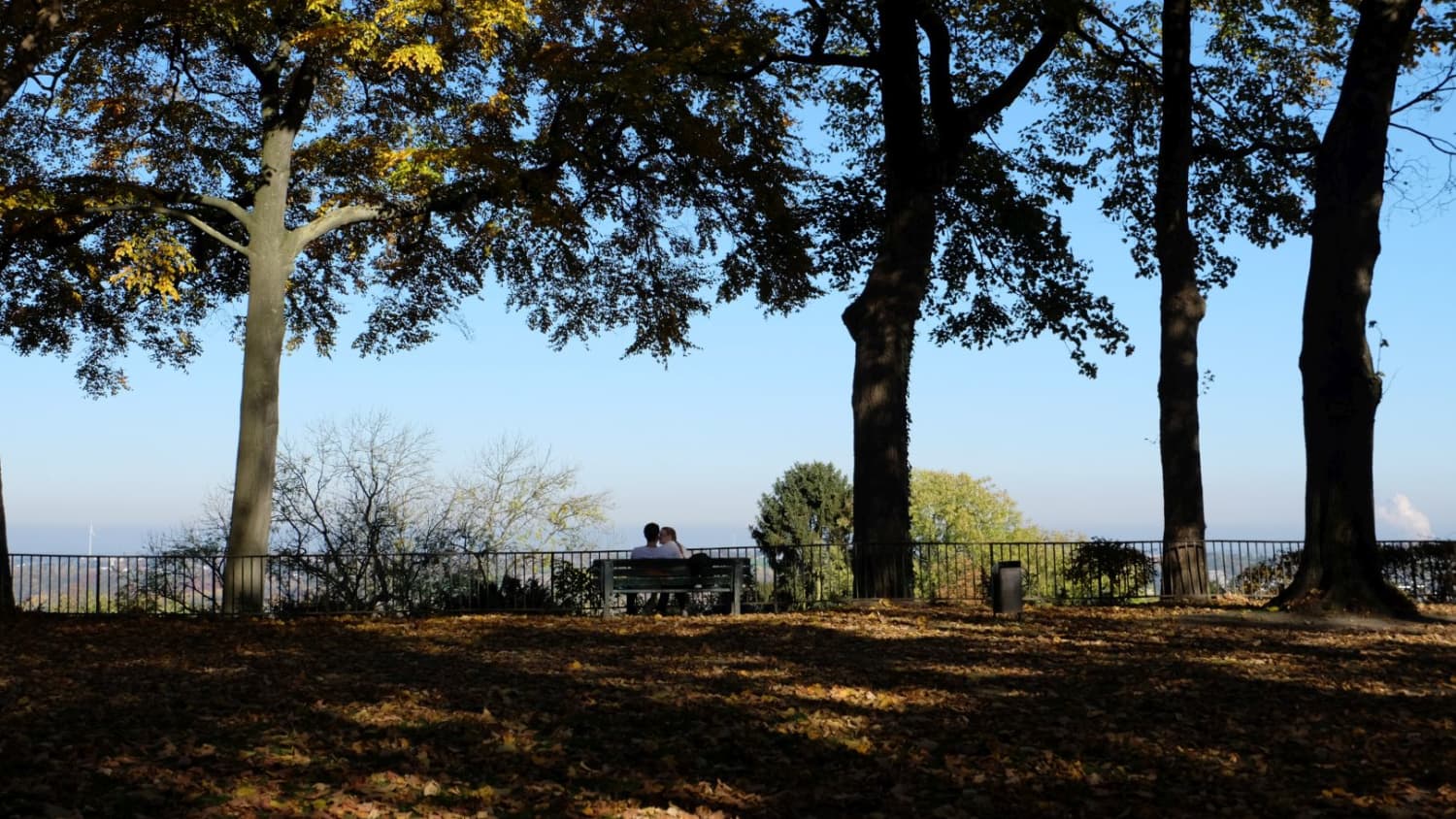 Ein Aufsteig, der sich lohnt: Der Lousberg in Aachen