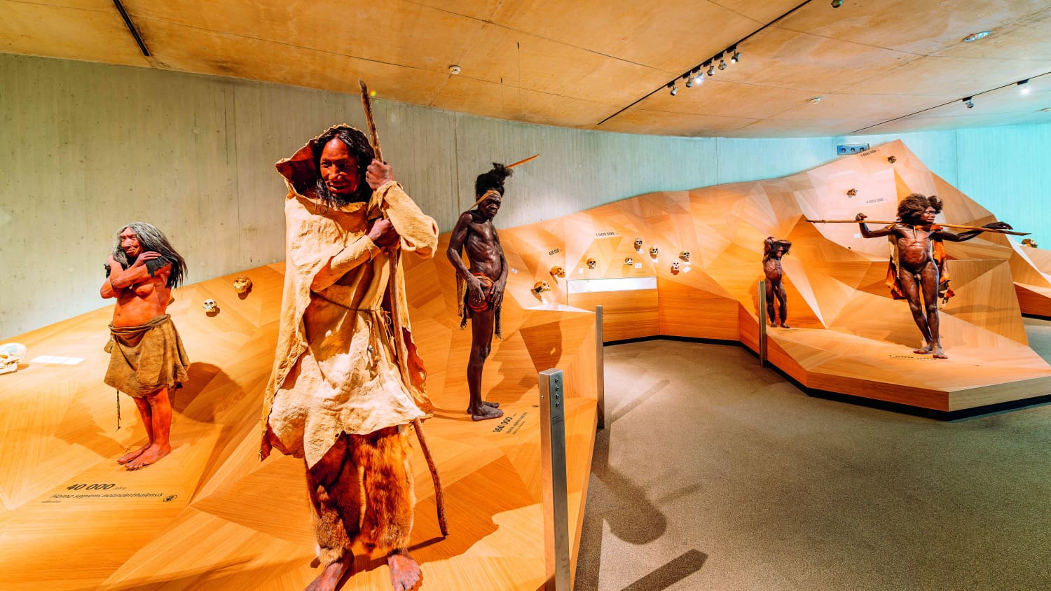 Die Stammbusch Ausstellung im Neanderthal Museum Mettmann