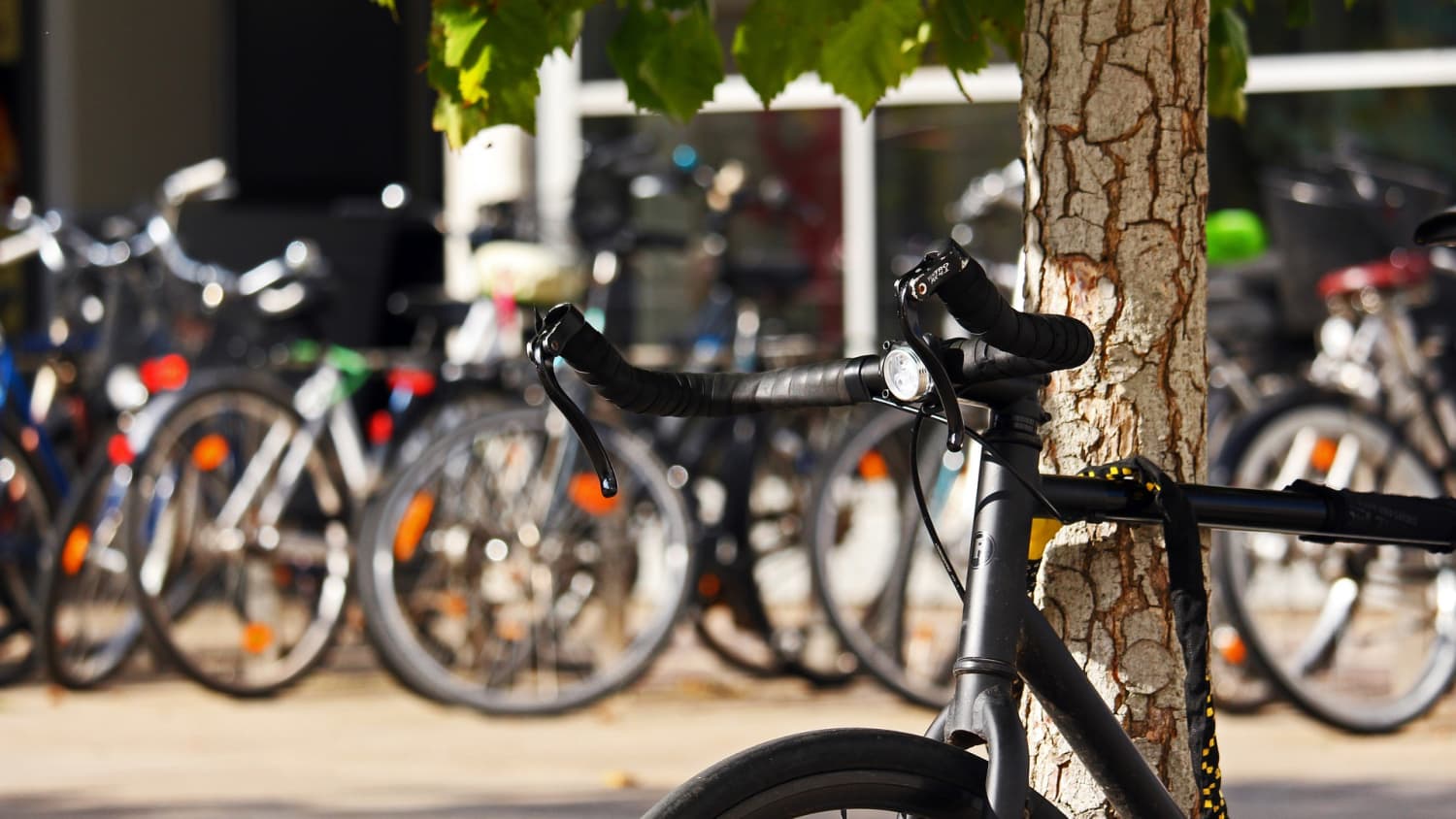 ein Fahrrad steht an einem Baum im Hintergrund sind verschwommen weitere Fahrräder zu erkennen