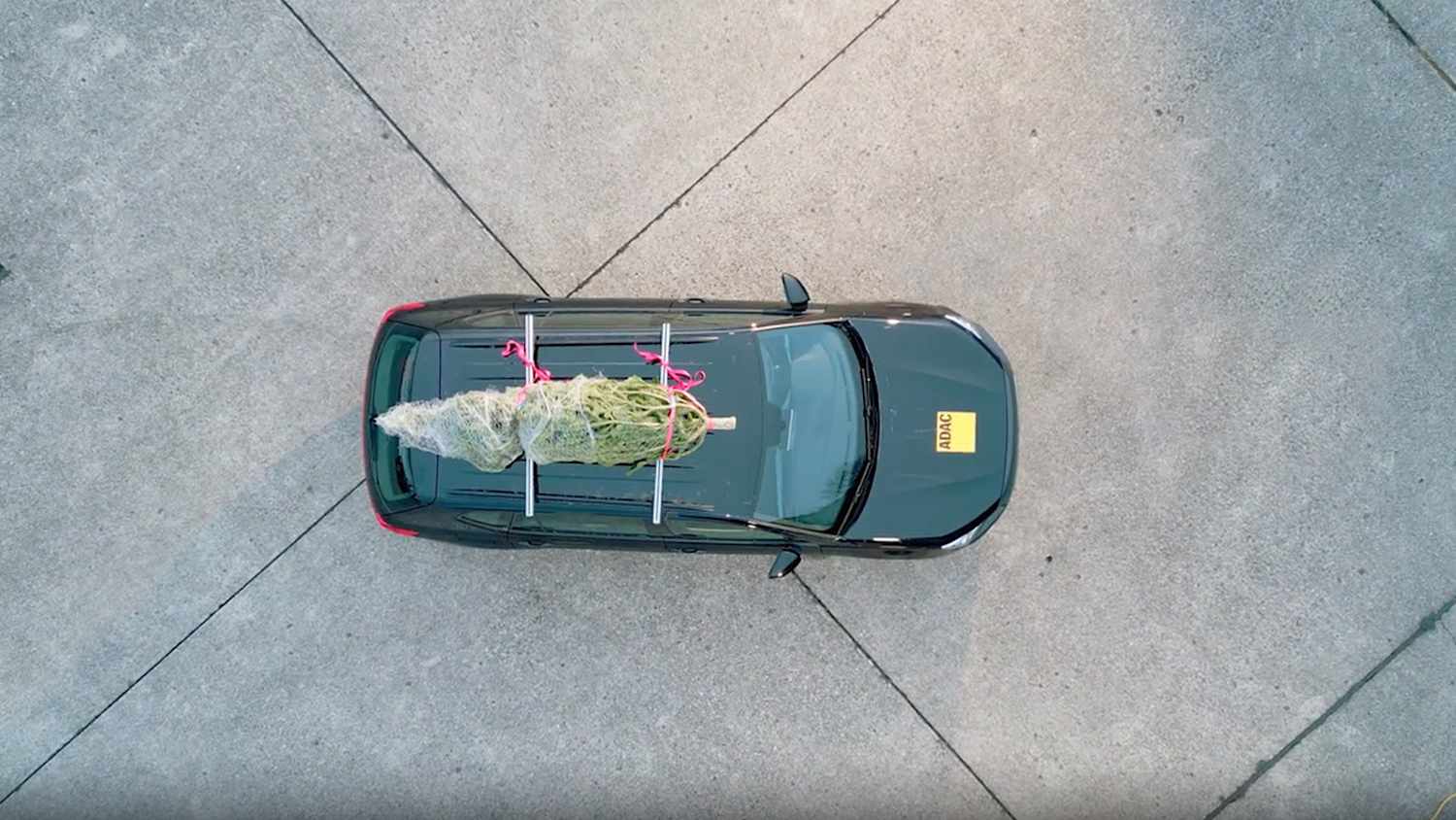 Weihnachtsbaumtransport