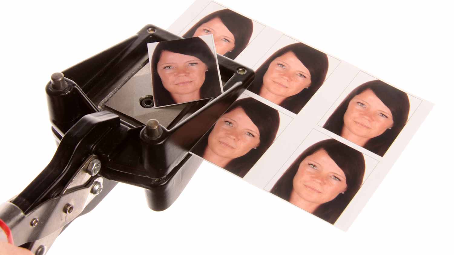 Passbilder