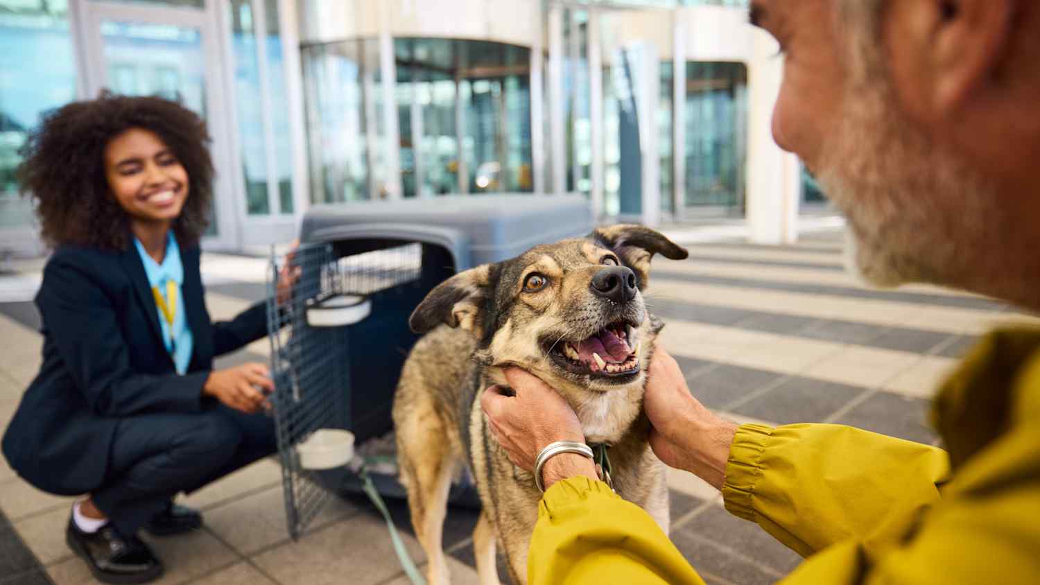 Hunde und andere Tiere werden vom ADAC Ambulanz-Service nach Hause geholt.