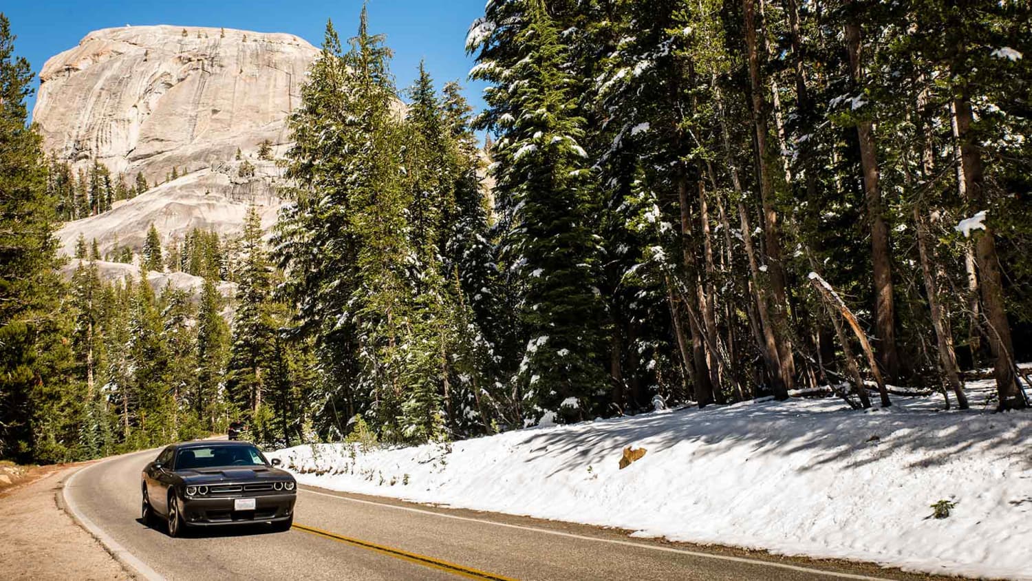 ADAC Autovermietung: Mit dem Mietwagen die Landschaften in den USA genießen