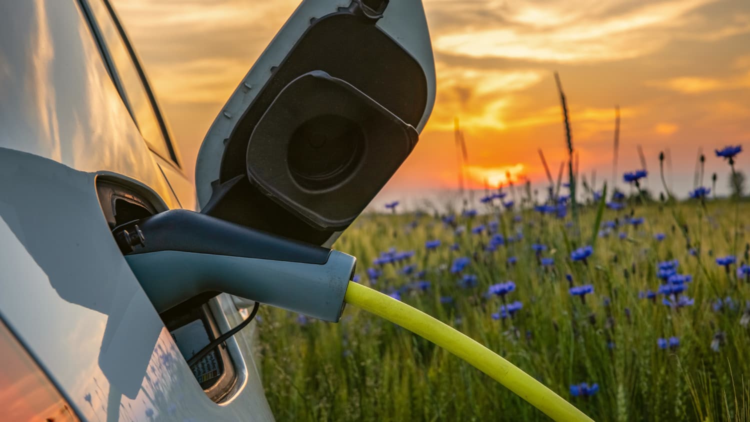 Ein graues E-auto wird neben einer Blumenwiese bei Sonnenuntergang aufgeladen, denn ein e-auto mieten ist nun einfach.