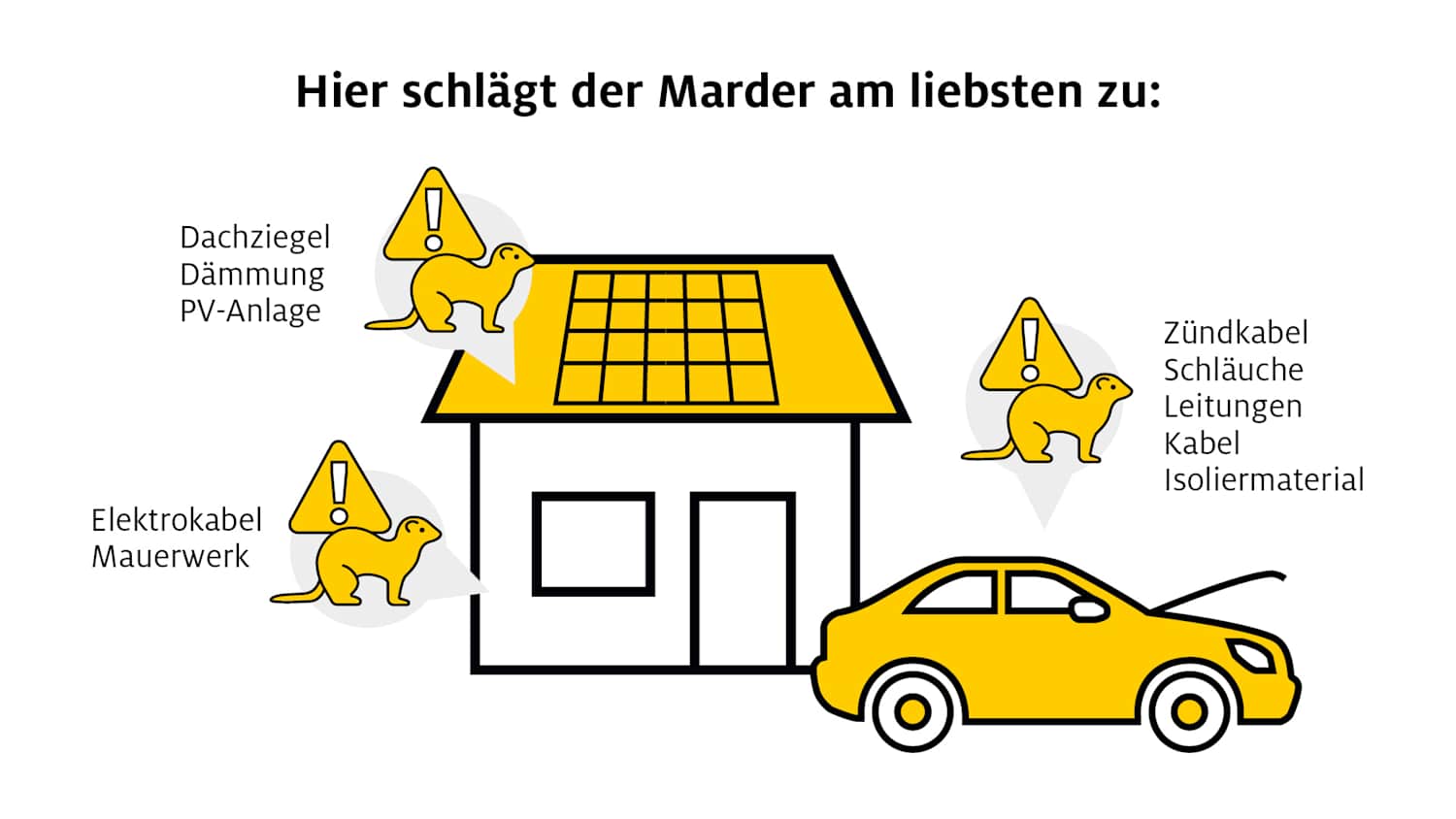 Marder verursachen Schäden am Haus, besonders an Dachziegeln, PV-Anlagen, der Dämmung, am Mauerwerk und an Elektrokabeln. Beim Auto stürzen sie sich bevorzugt auf Schläuche, Zündkabel, Leitungen, Isoliermaterial und Kabel.