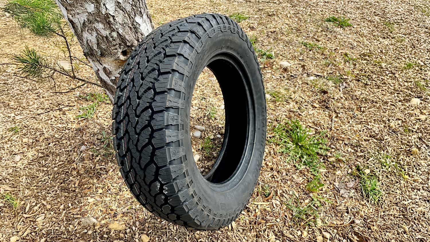 Ein All Terrain Reifen von General Grabber lehnt an einem Baum