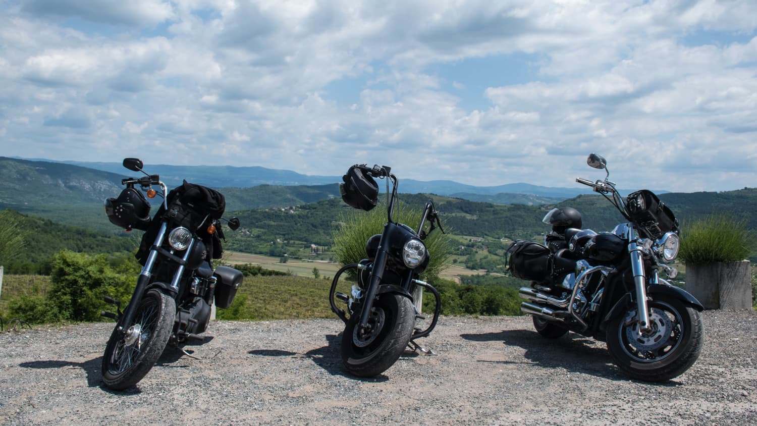 Silke Nevoigt Harley Rücktransport