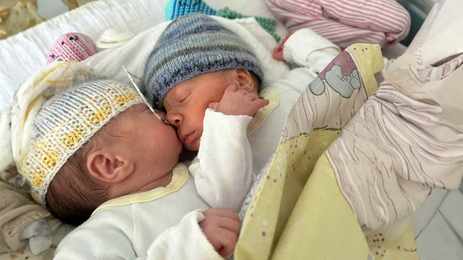 neugeborene Zwillinge liegen im Bettchen