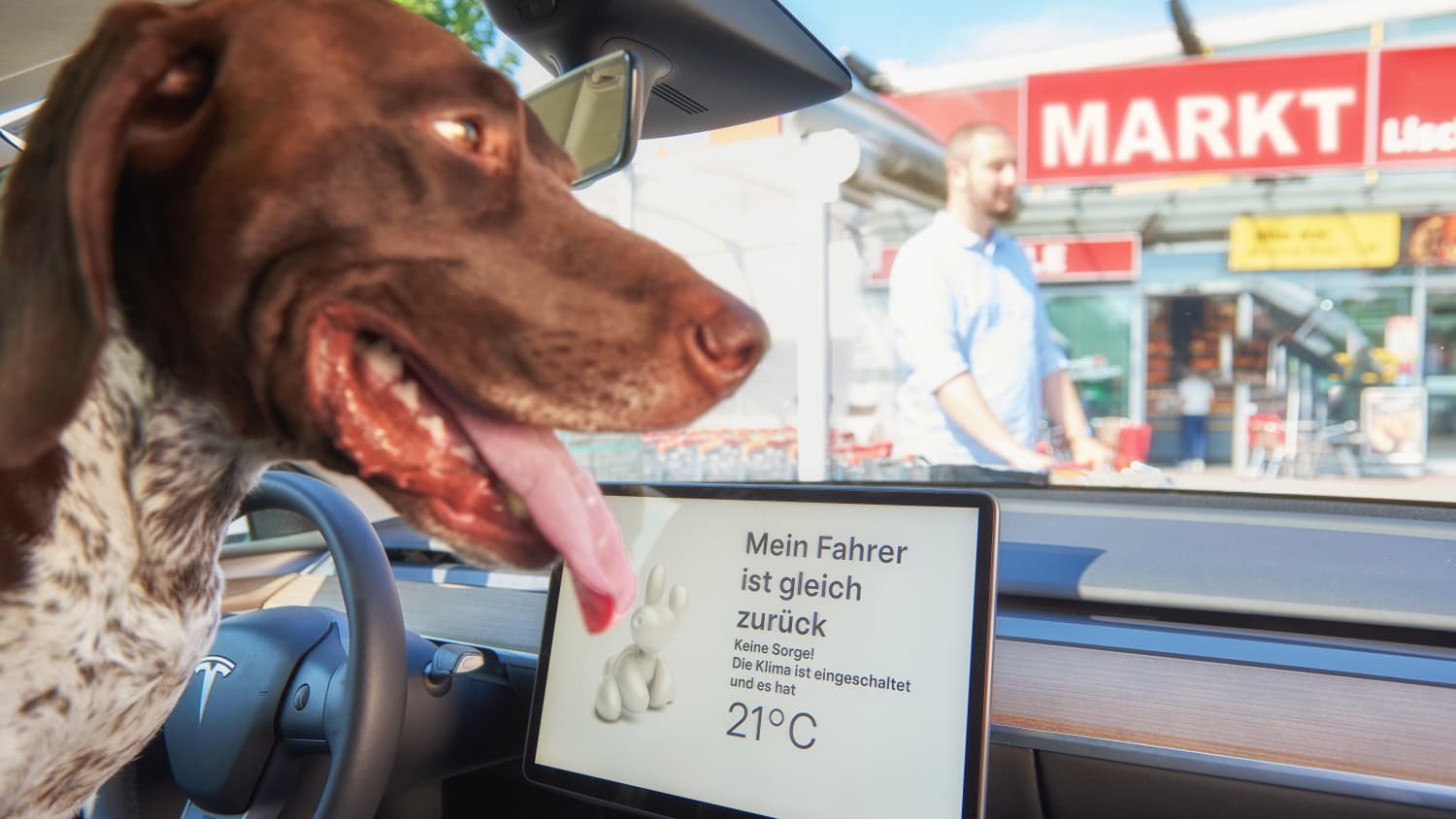 Ein Hund sitzt mit Klimaanlage im Auto und wartet auf sein Herrchen