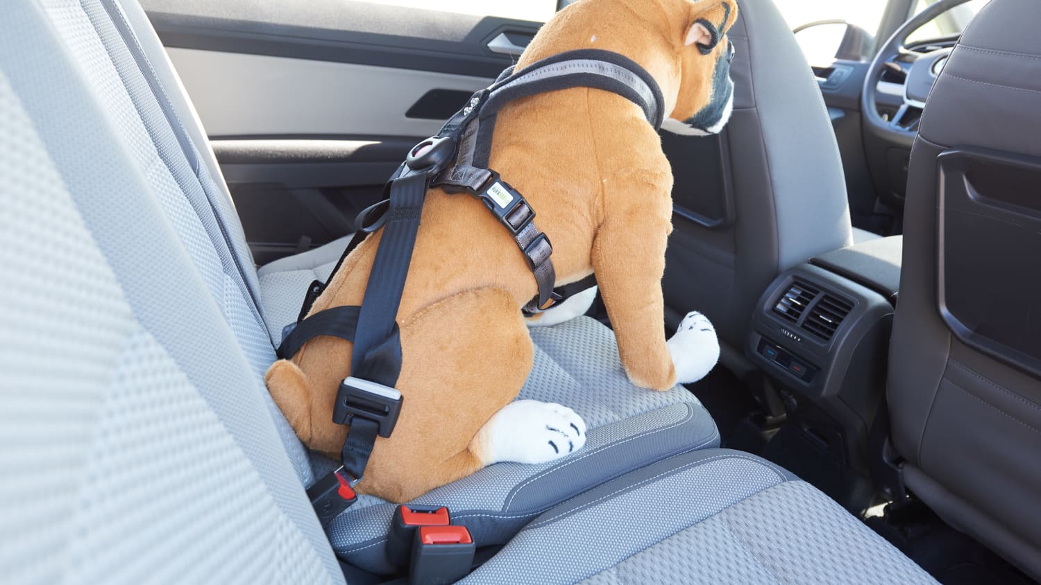 Haustier Auto Isolation Netz Hundesitz Schutz Hund Antikollision Haustier  Supplieseinfach zu installieren, Auto Teiler für sicheres Fahren mit  Kindern und Haustieren