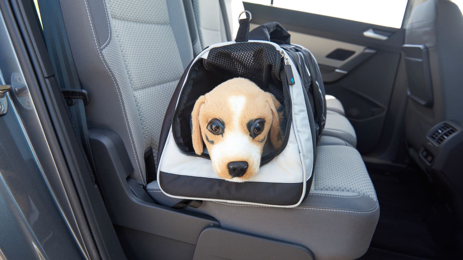 Mach deinen Kofferraum hundefreundlich.  Transportbox hund auto,  Transportbox hund, Hund auto