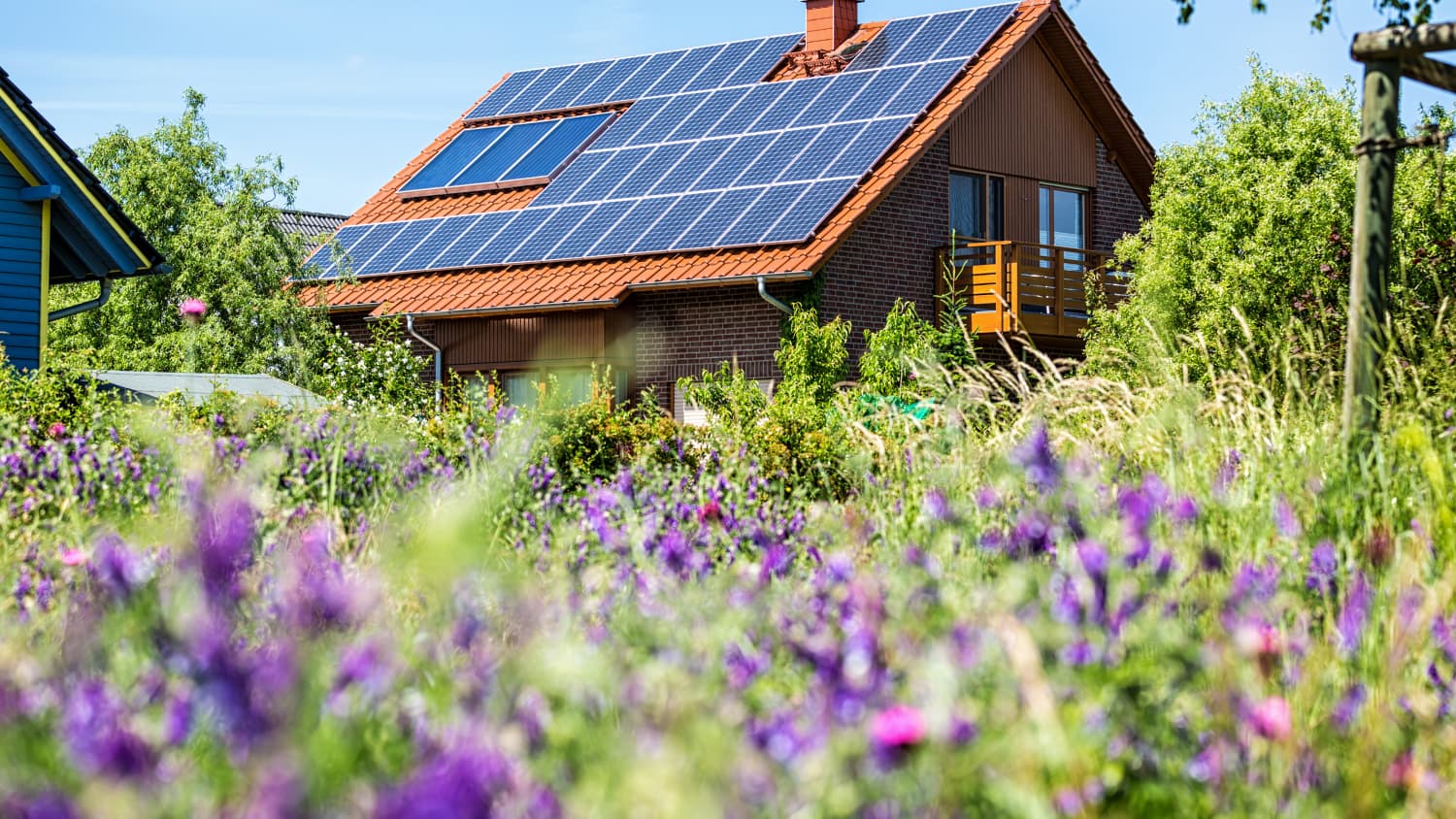 Einfamilienhaus mit Solaranlage auf dem Dach und Blumenwiese im Vordergrund